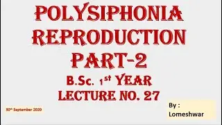 Polysiphonia Reproduction part 2