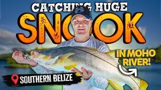 River Fishing In Belize Jungle for Big Snook - Moho River Fishing
