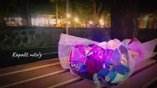 Paalam - PNRM (Official Lyric Video)