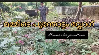 Mom explain about her green Garden 🥰#garden #home #medicinalplants #keralamoms