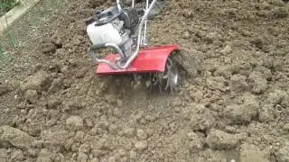 Casser les mottes avec une motobineuse mantis
