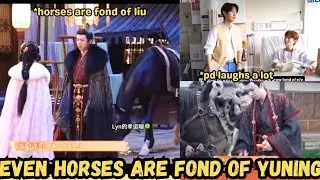 Not only people Horses are also fond of Liu yuning, Even director laughs after seeing Wooju's banter