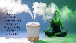 The #1 Selling Humidifier On Amazon Isn't What You Think | Levoit Review