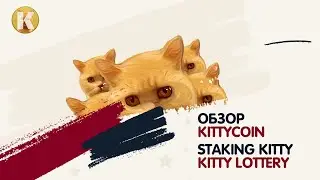 🚀 Обзор KittyCoin | Staking токена KITTY | KITTY Lottery