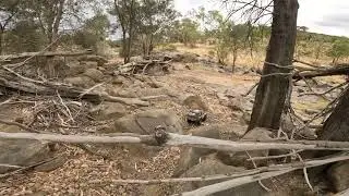 Low Water Adventure at Bells Rapids &ndash; TRX4 Bronco & Carisma Coyote Crawl the Rocks! 🌊🪨