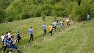 MOV03441