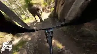 Edge of the World - Linga Longa Bike Park