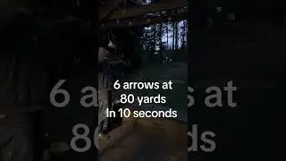 Got to love the lighted nocks