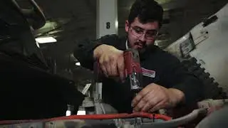 Premier Truck Group - About US   North America's Largest Freightliner Dealer Group