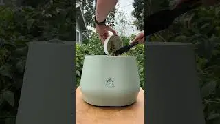 New Lomi Bloom - My Thoughts & Experiences #lomi #composting #compost #composting