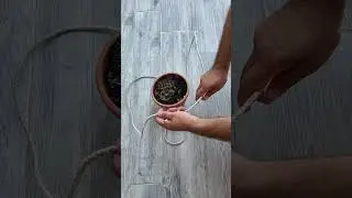 How to Hang a Pot with a Rope: Easy and Stylish!