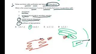 9700 syllabus 2022 specimen paper 1