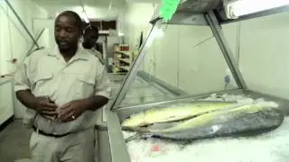 South African Heroes - Marine Compliance Officers (2 mins)