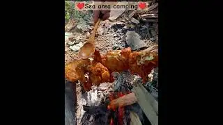 💯💯sea area camping💯💯#shortvideo#reels#tonysharkcamping#moneyheist #andamanvlog