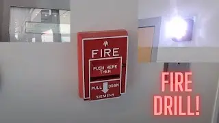 School Fire Drill 2-27-2023: Pulling the Fire Alarm