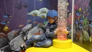 Merlin's Magic Wand Charity - Taking the Magic to the Children