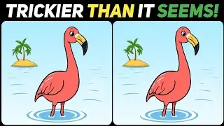 Trickier Than It Seems! 😱 Find the Difference Challenge