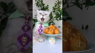 Yummy!🤩 Noodles & Octopus Balls Are A Unique Flavor🍜🐙 #catsofyoutube #foodlover #tiktok