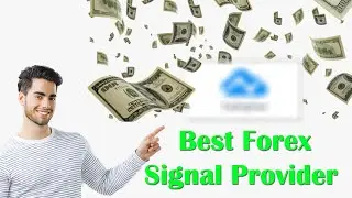 Best Forex Signals Provider 2020 | Forex Trading Tips for Beginners
