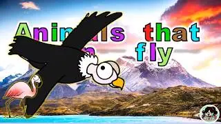 Animals that can fly (PATAGONIA) | Easy song to learn English