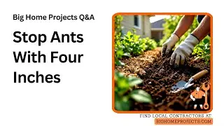 Four-Inch Ant-Proof Mulch Barrier Method