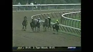 2003 Jim Dandy Stakes