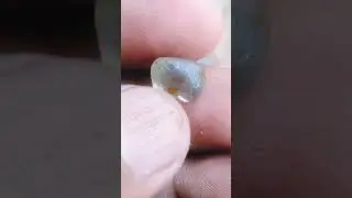 Sapphire Rough stone  Dum Geuda