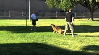 Training Z Targeting