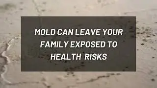North Boston Mold Removal | RestoPros of North Boston