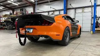 Unveiling!! New look for my 2020 Shelby GT500!! Carbon fiber seats!!