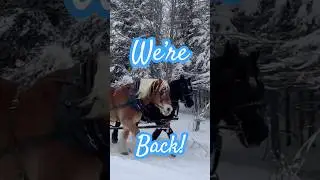 Новости, трагедии и триумфы! &mdash; смотрите полное видео прямо сейчас! 👆