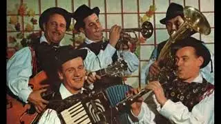 Kvintet Avsenik - Slowenischer Wein (Po Trgatvi) (Live)