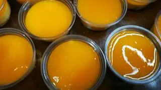 Mango Cheese Cake Party Size