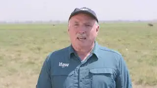 Thank You for Helping Animals and People Thrive Together