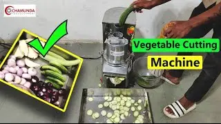 BEST VEGETABLE CUTTER |VEGETABLE CHOPPER |POTATO DICER | MULTI VEGETABLE CUTTING MACHINE FOR HOTEL