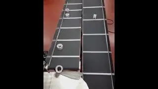 Easy Systems bandtransport&ouml;rer