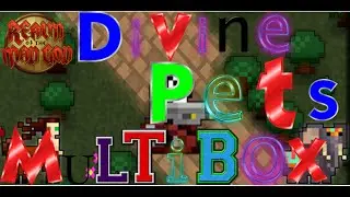 ROTMG-Multiboxers with divine pets