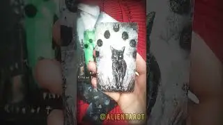 Haunted Cat Tarot / Таро кота приведения ОБЗОР #tarot #обзор #cattarot #hauntedcattarot #таро