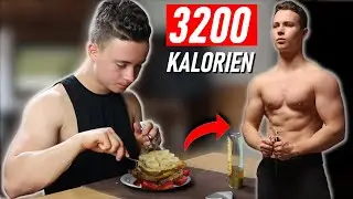 Ich habe 25kg MUSKELN mit dieser Ernährung AUFGEBAUT!