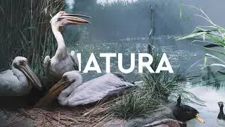 AudioTour la Muzeul Antipa!
