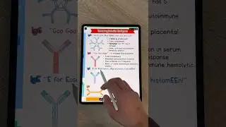 Изучите классы по антителам из моего нового руководства по патологии и иммунологии📗#medstudent #m...