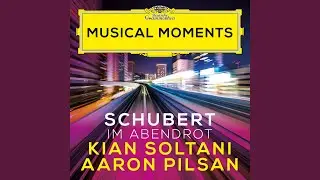 Schubert: Im Abendrot, D. 799 (Transcr. Soltani for Cello and Piano) (Musical Moments)