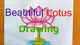 Beautiful Lotus Flower Drawing #lotus #flowers