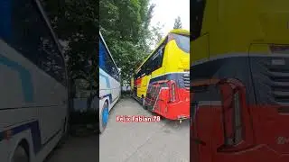Bus Terbaru Adhi Prima  - Cah Demak..SR3 XHD .. Arus Balik