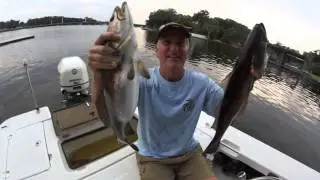 Speckled Trout ! | Jacksonville Fishing Trips