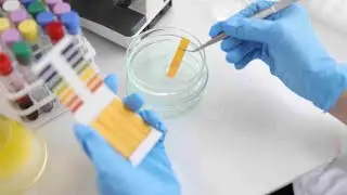 Tris Buffer: Indispensable Tool for Biochemical Research &ndash; ChemWhat Brand Leads the Global Market