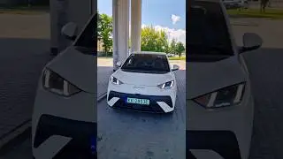 Jedna rzecz wyr&oacute;żnia BYD Dolphin Surf
