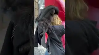 Madonna Is Hiding Today In Paris Fashion Week 2025
