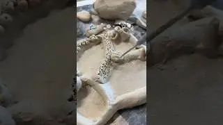 Little ceramic studio vlog 🐚 #claysculpting #claylife #ceramics #clayart #studiovlog