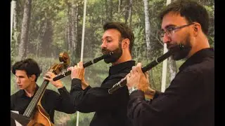 J. J. Quantz: Concerto for two flutes in g minor // Live at festival Loka da Camera